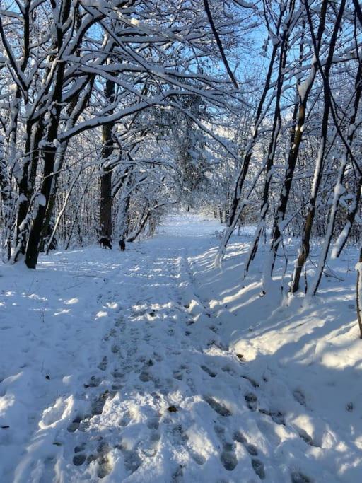Chalupa Kokorinsko Mseno Exteriér fotografie